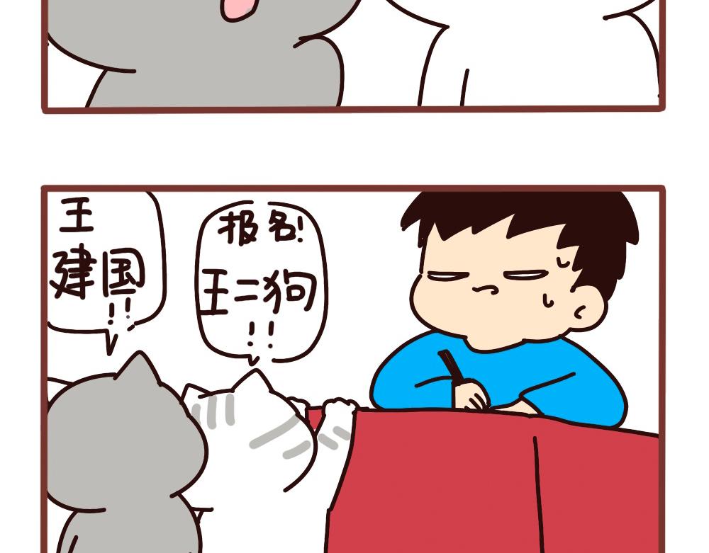 聪明的小二狗3