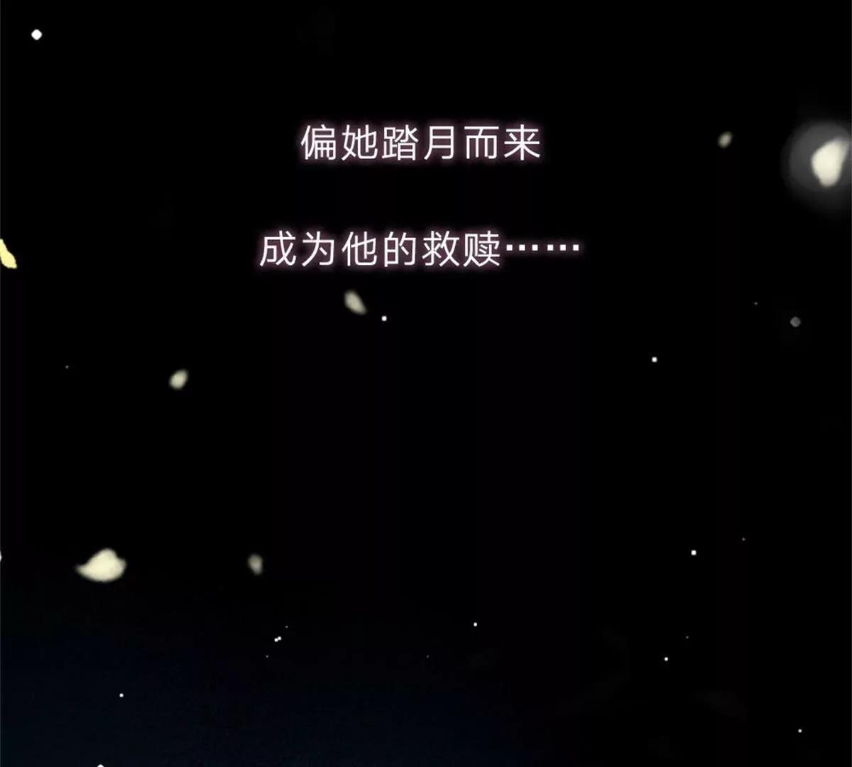 一念合欢为君开推荐64