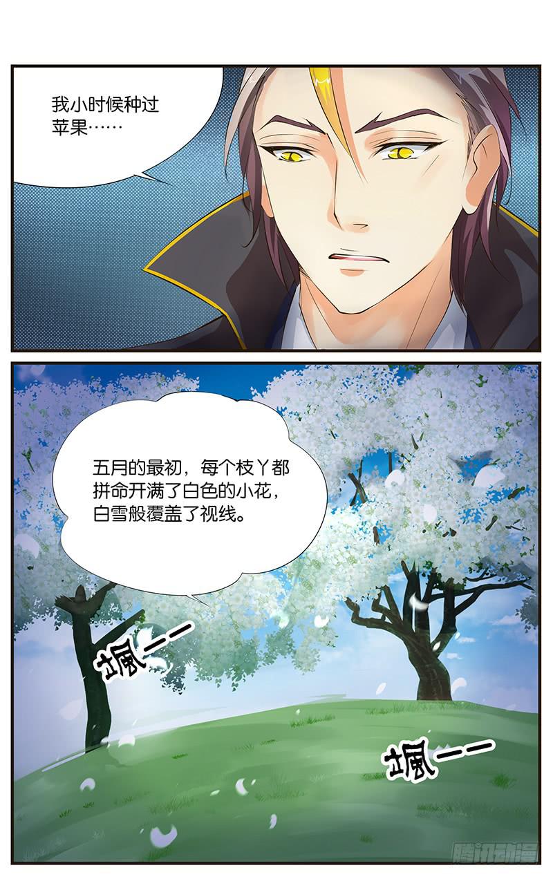 27.花语梦想5