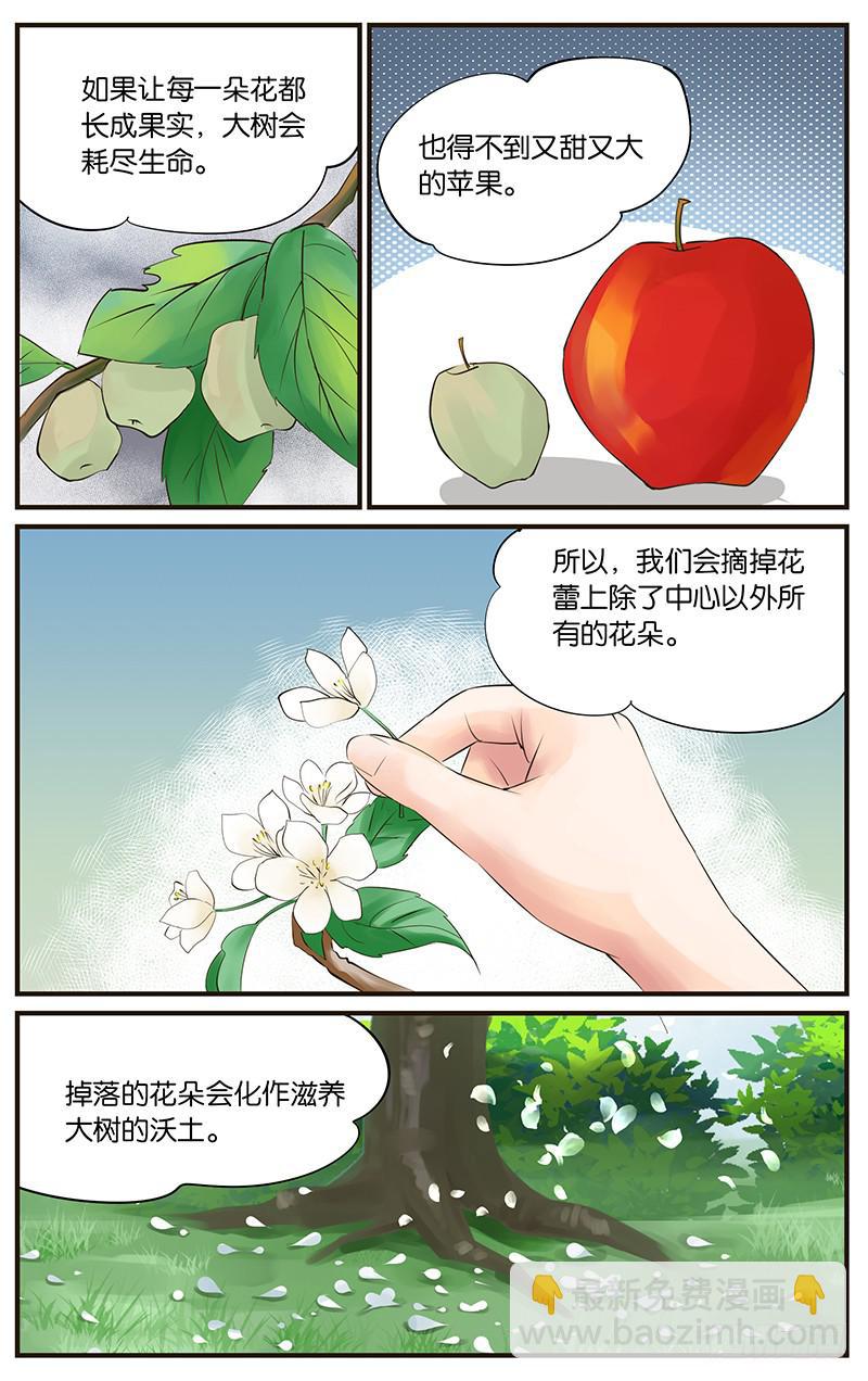 27.花语梦想6