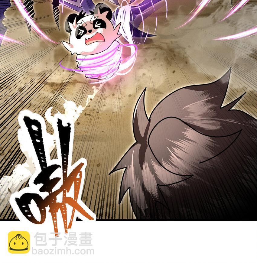 045 鬼面狼蛛2