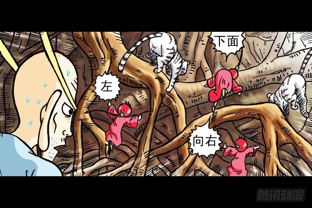 第21集 揭秘五老林38