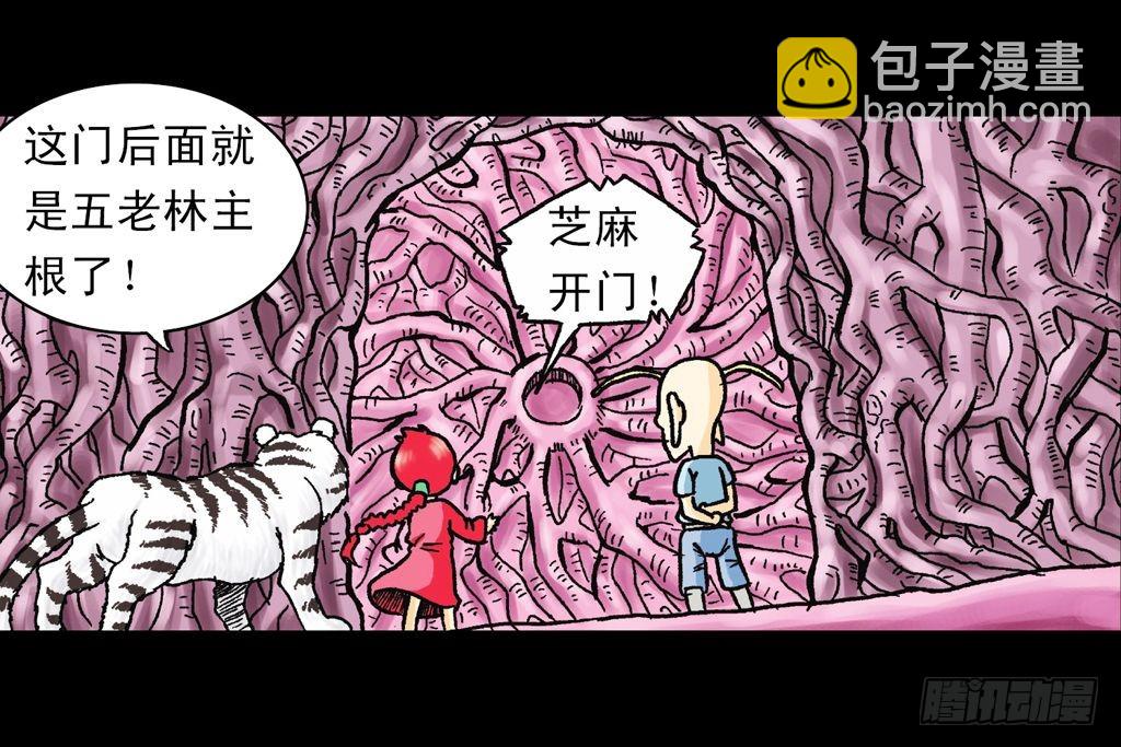 第21集 揭秘五老林54