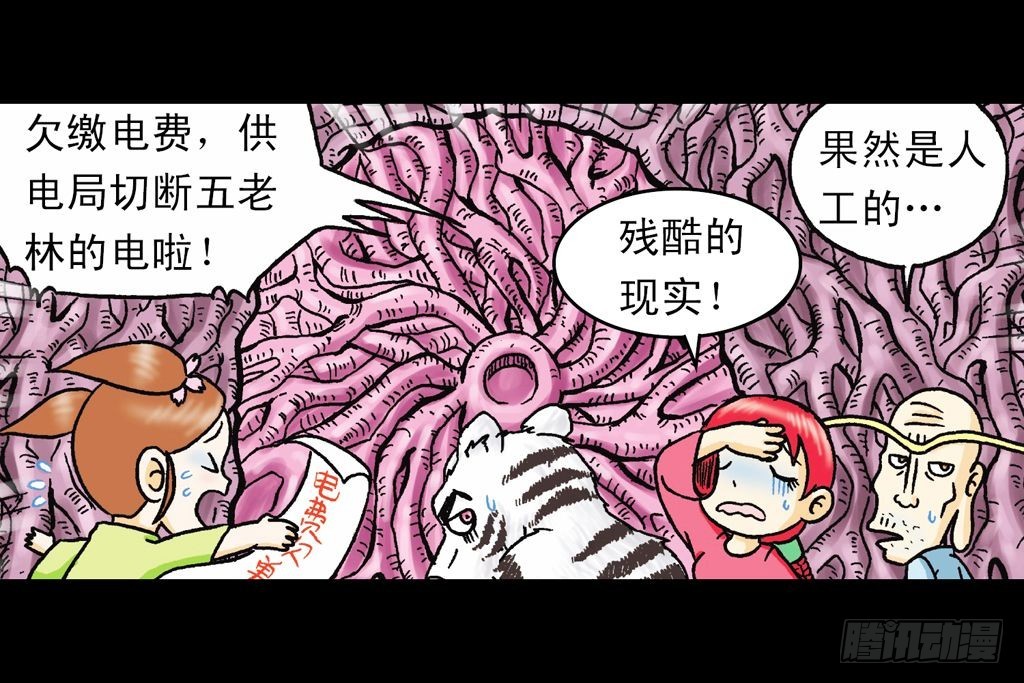 第21集 揭秘五老林56