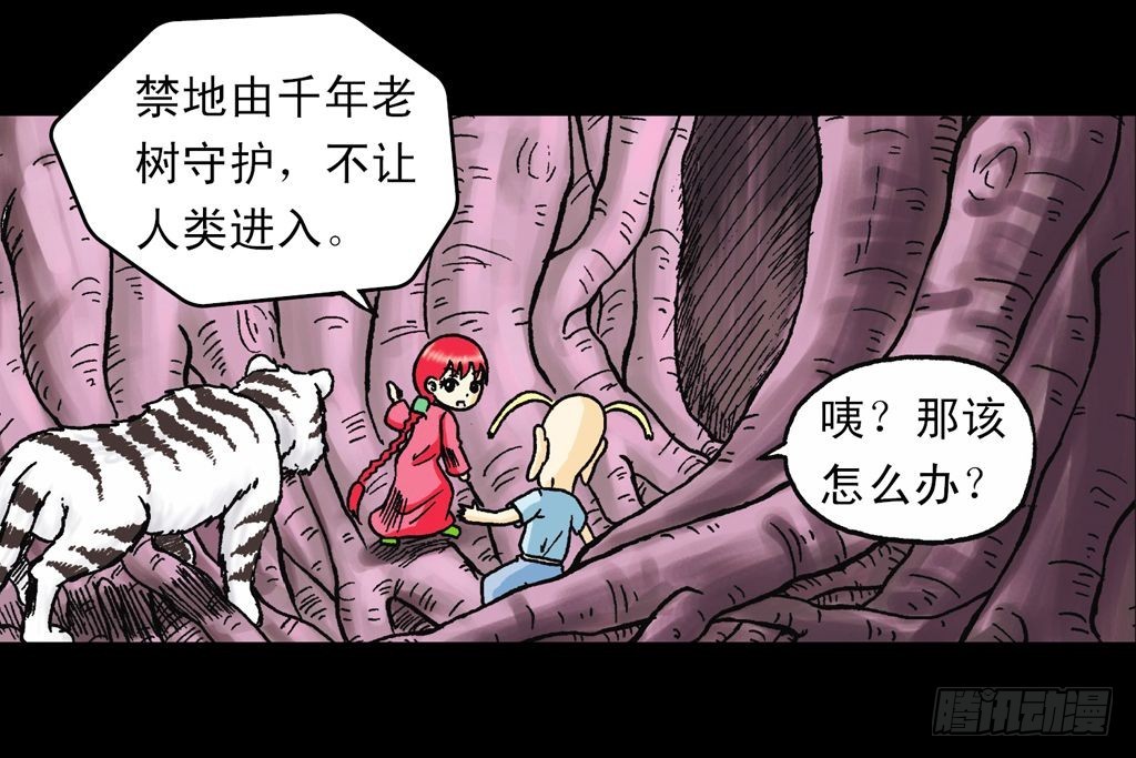 第21集 揭秘五老林65