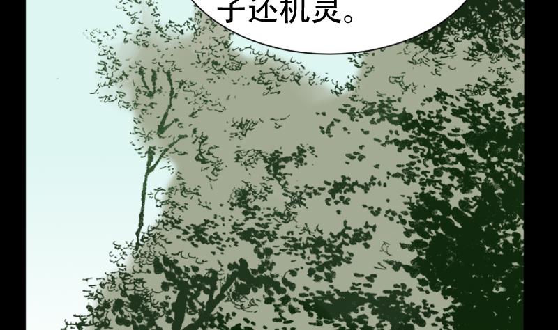 第40话 林中探秘39