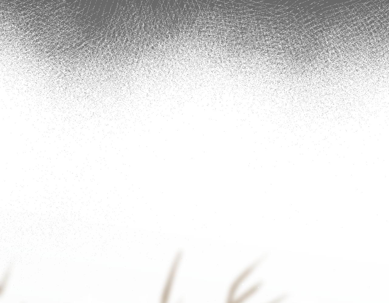 45.确定心意110