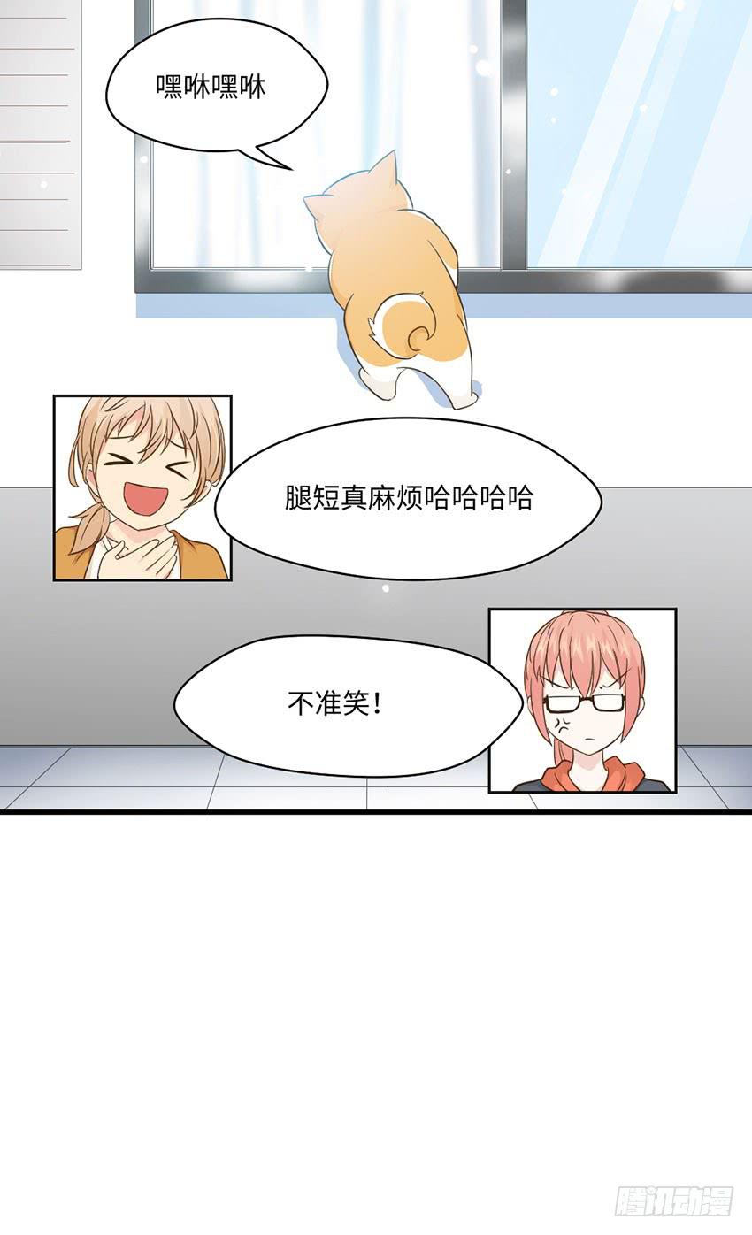 老师你真的是医生吗？10