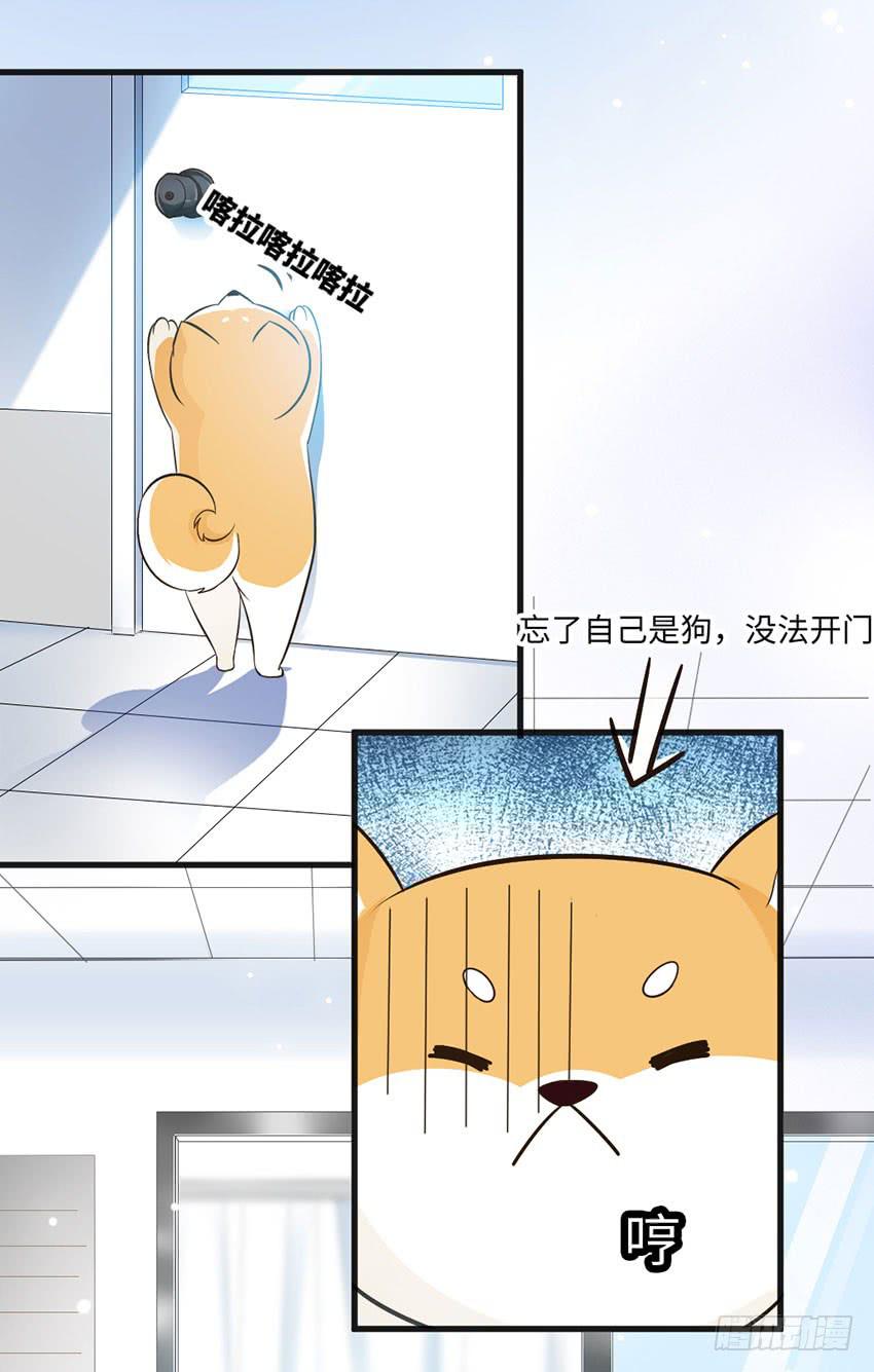 老师你真的是医生吗？9