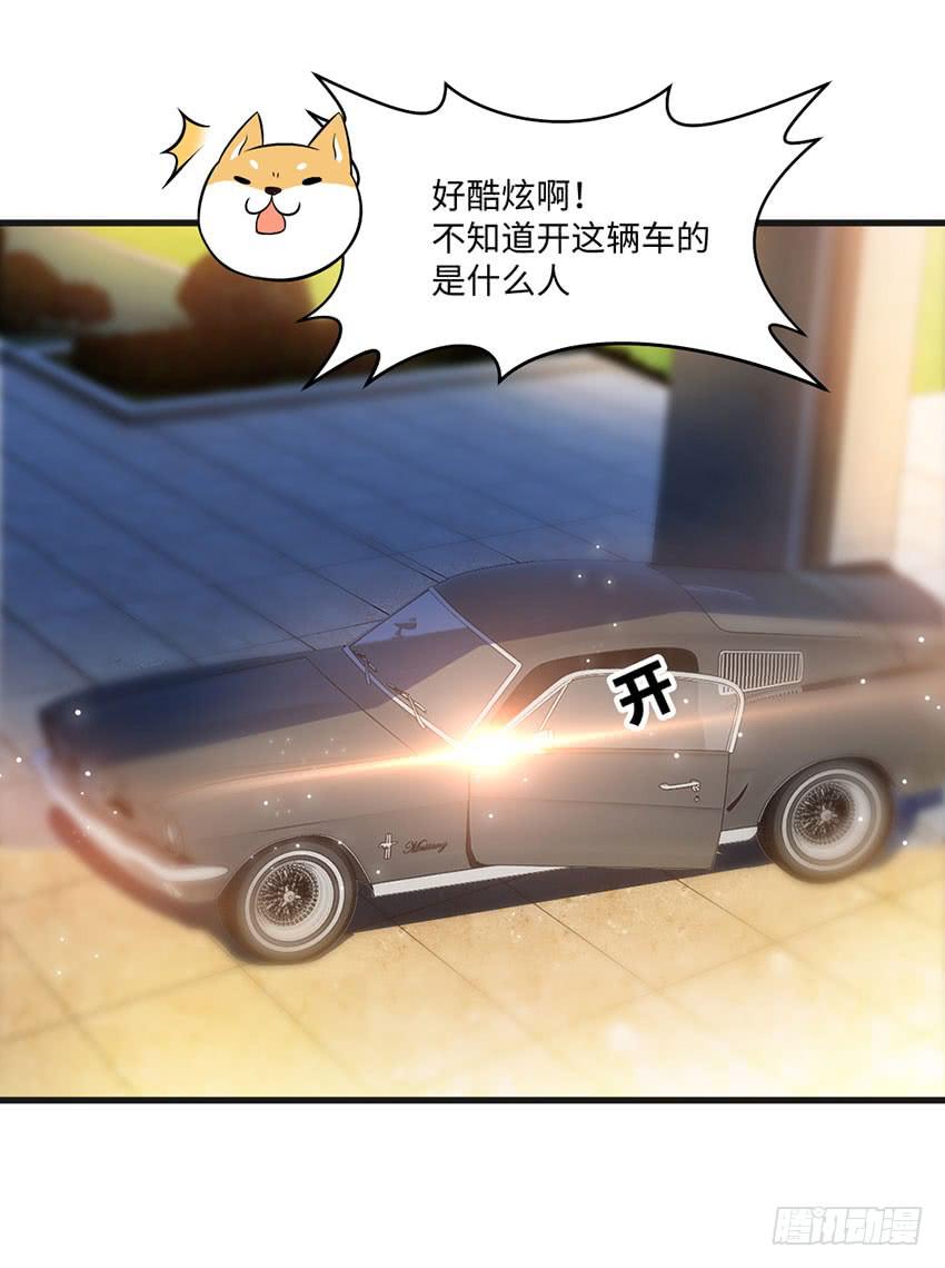 豪车里的男人21