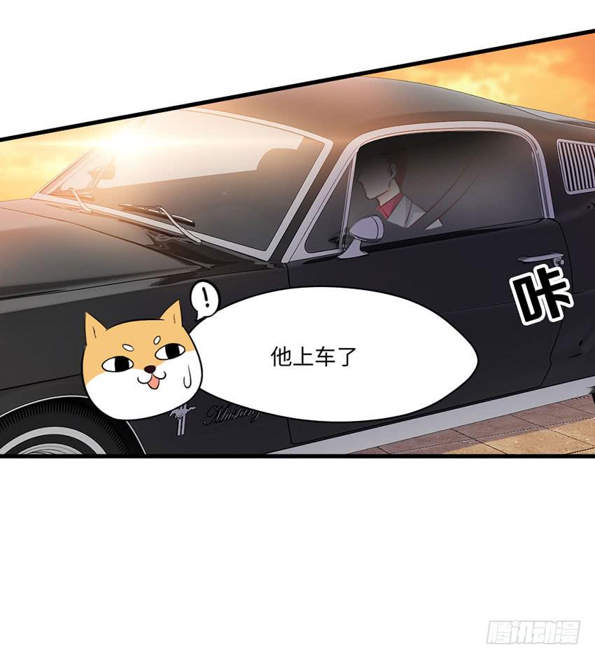 豪车里的男人35
