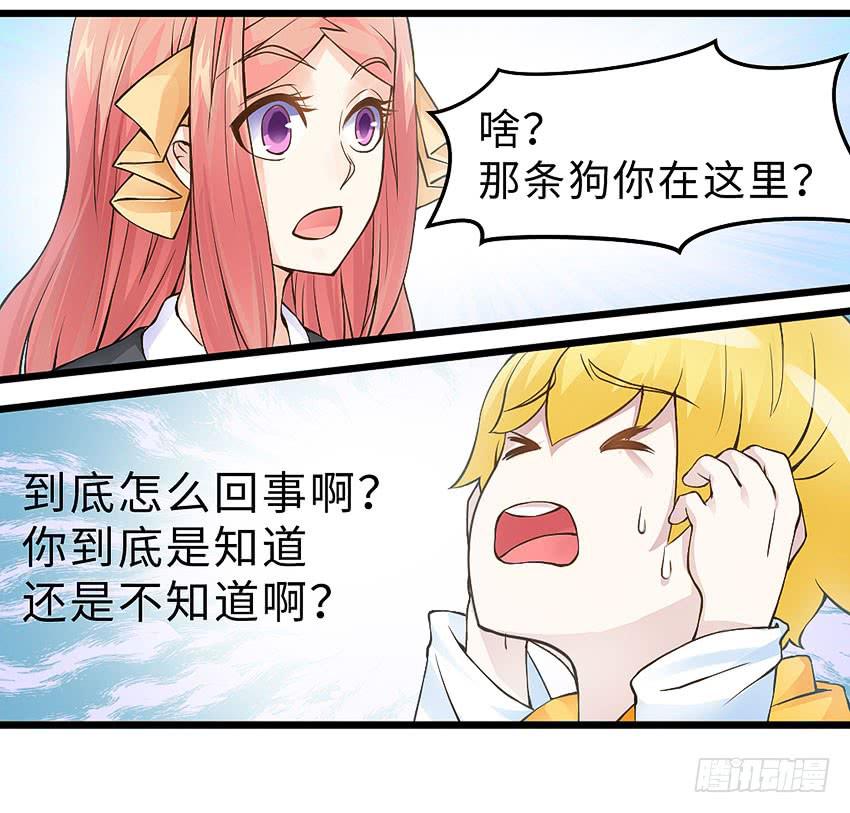 41·狗呢？！15