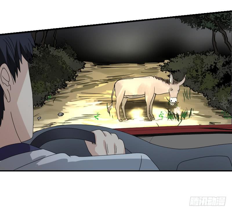 飞跃戒网所（4）109