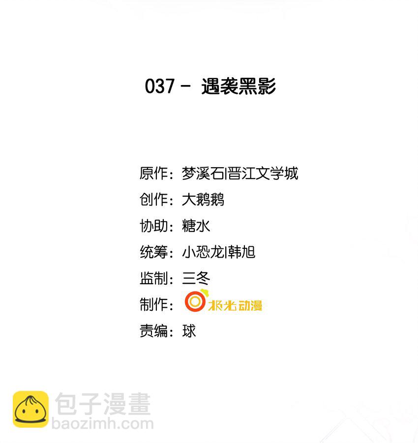 37 遇袭黑影1
