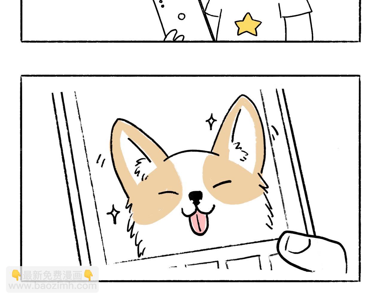 你也想养狗吗？3