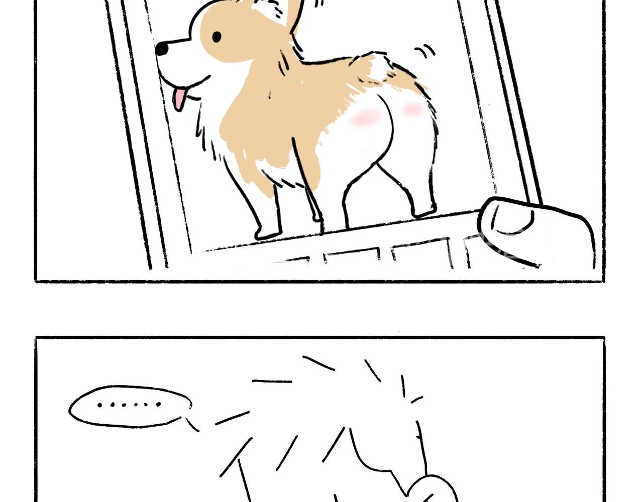你也想养狗吗？5