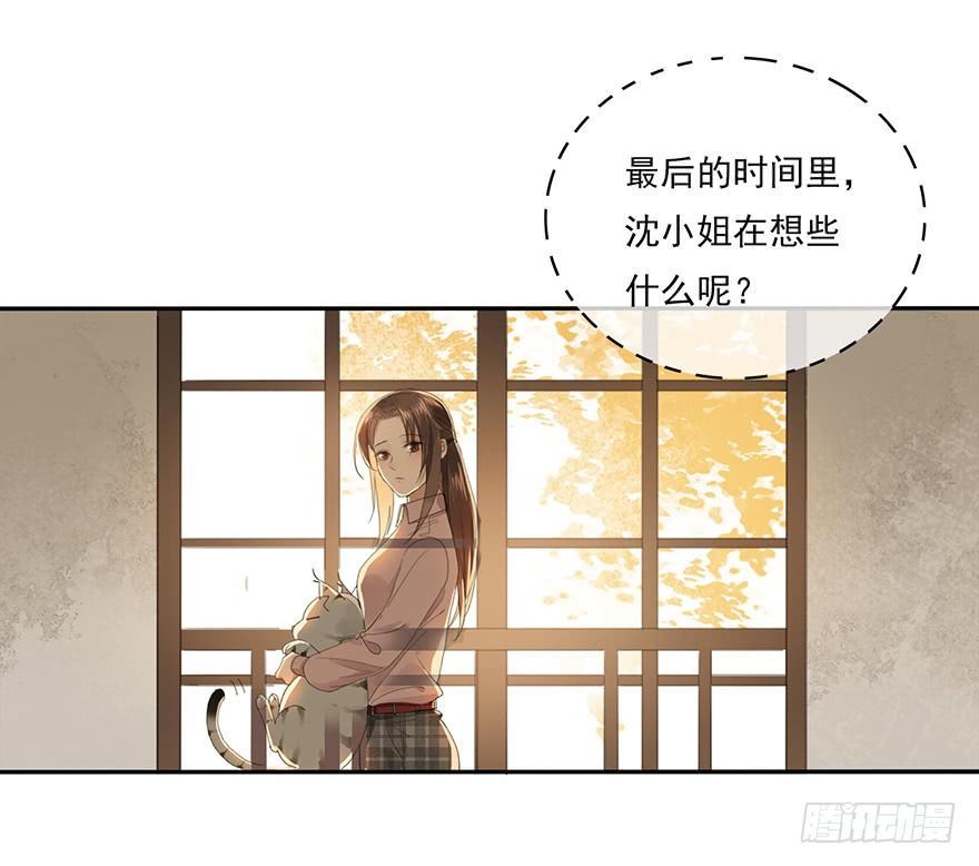 聊赠一枝春36