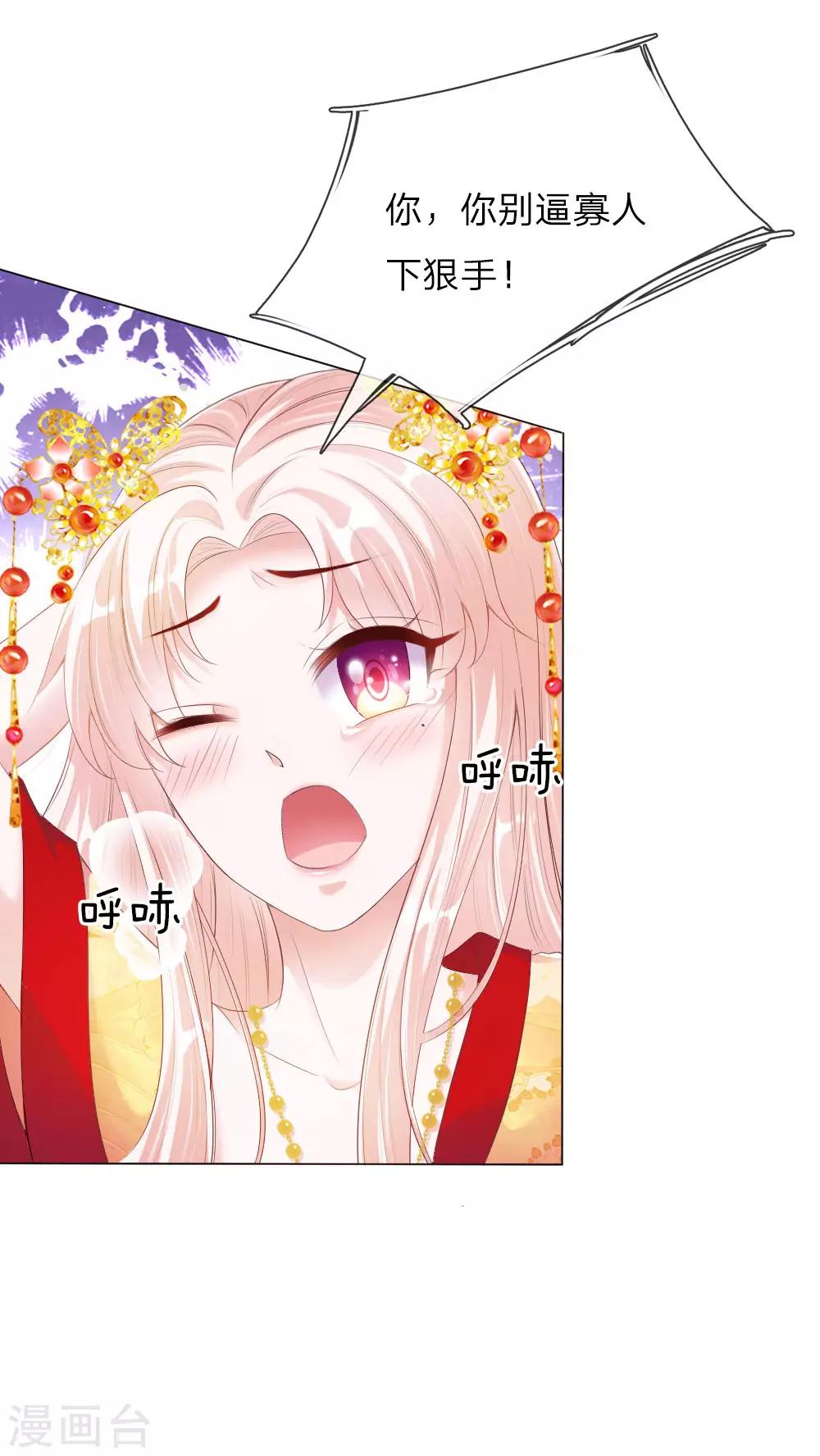第5话 刺猬—本命护体10