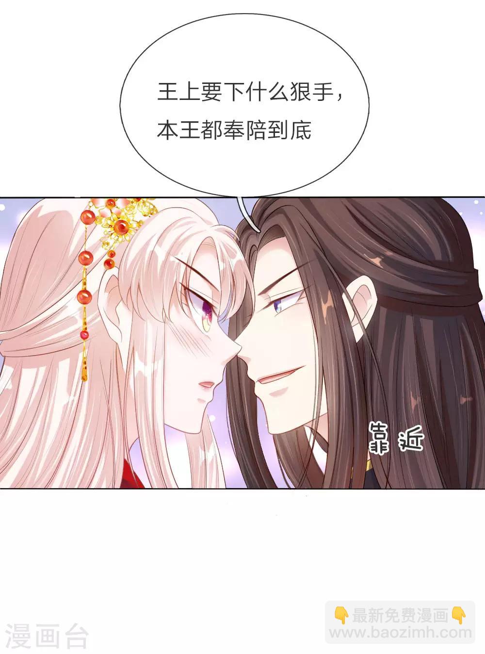 第5话 刺猬—本命护体11