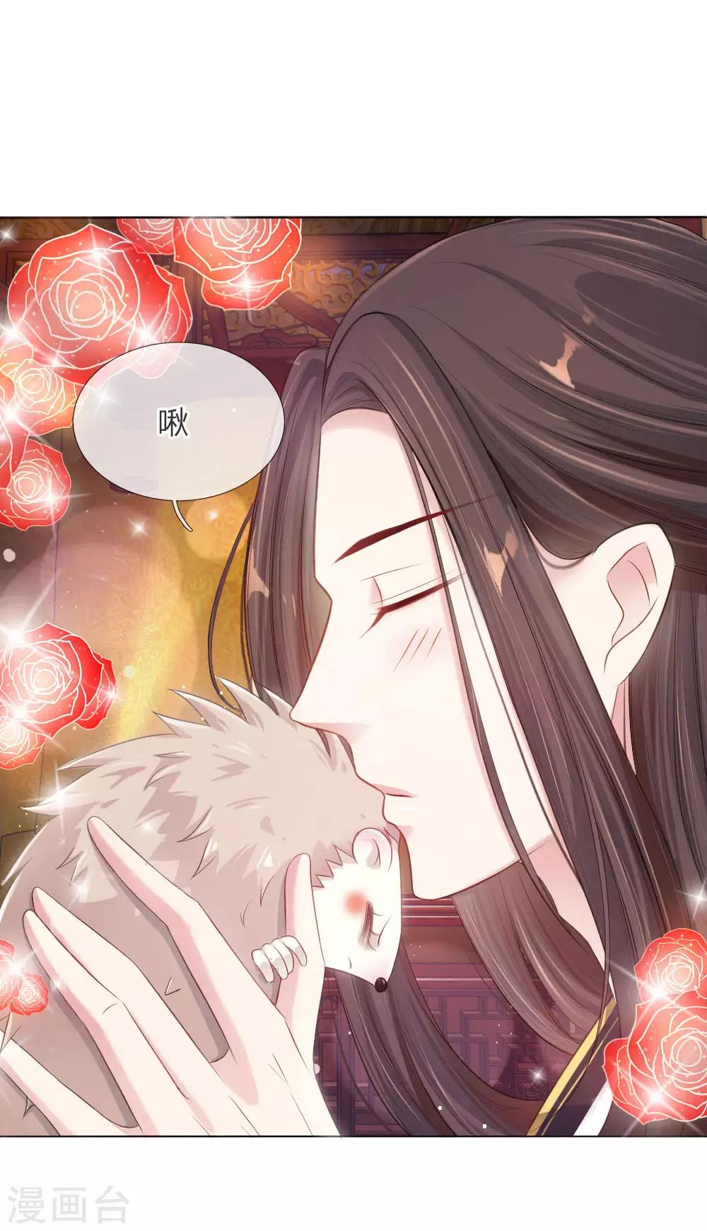 第5话 刺猬—本命护体14