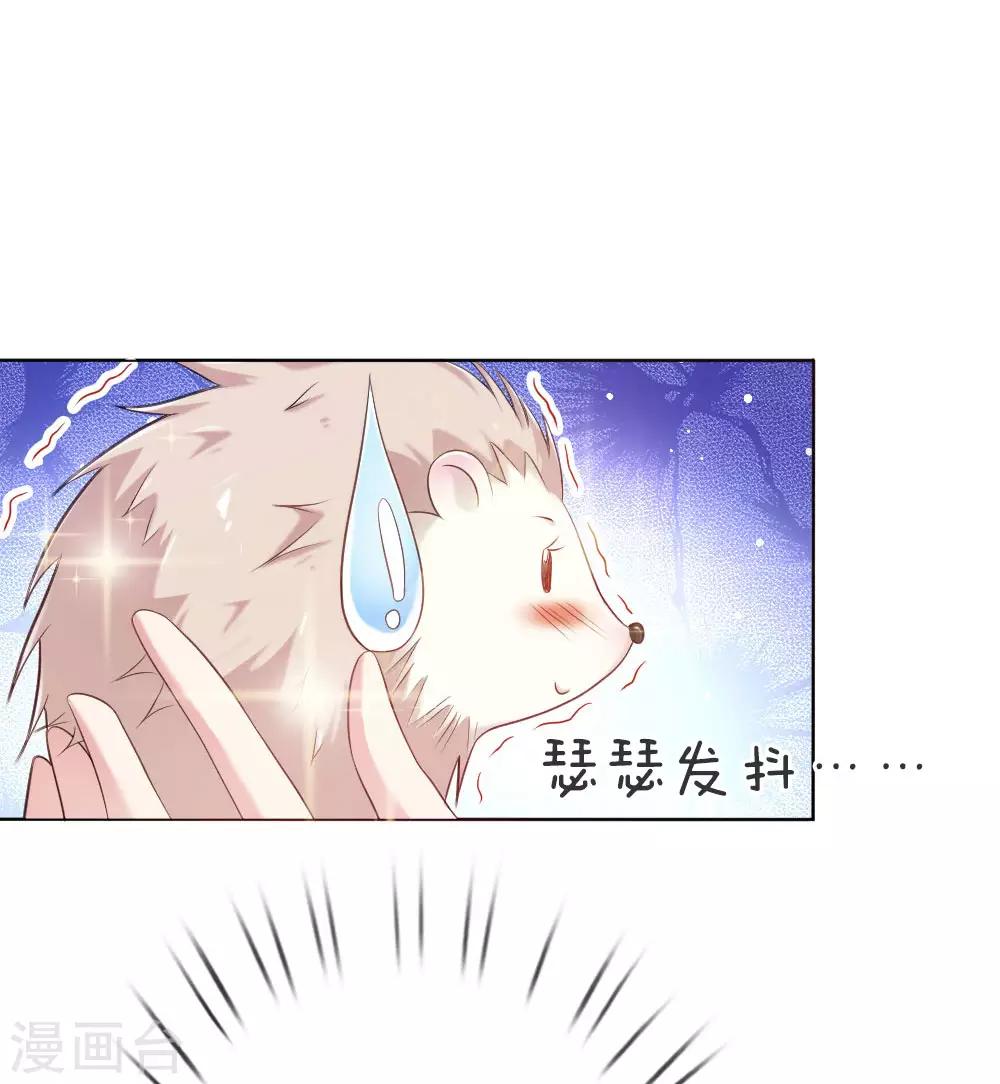 第5话 刺猬—本命护体16