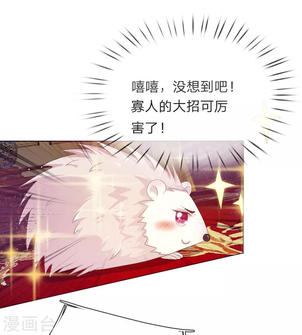 第5话 刺猬—本命护体18