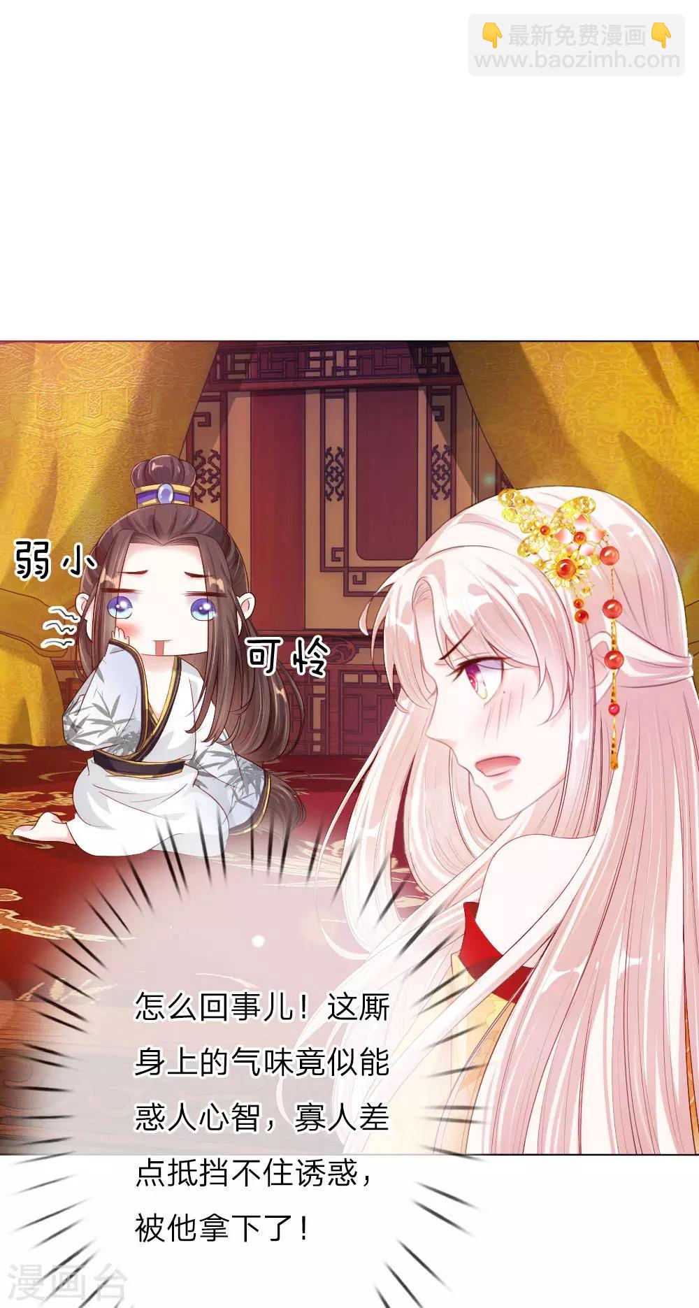第5话 刺猬—本命护体4
