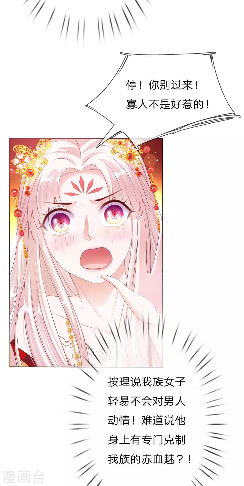 第5话 刺猬—本命护体5