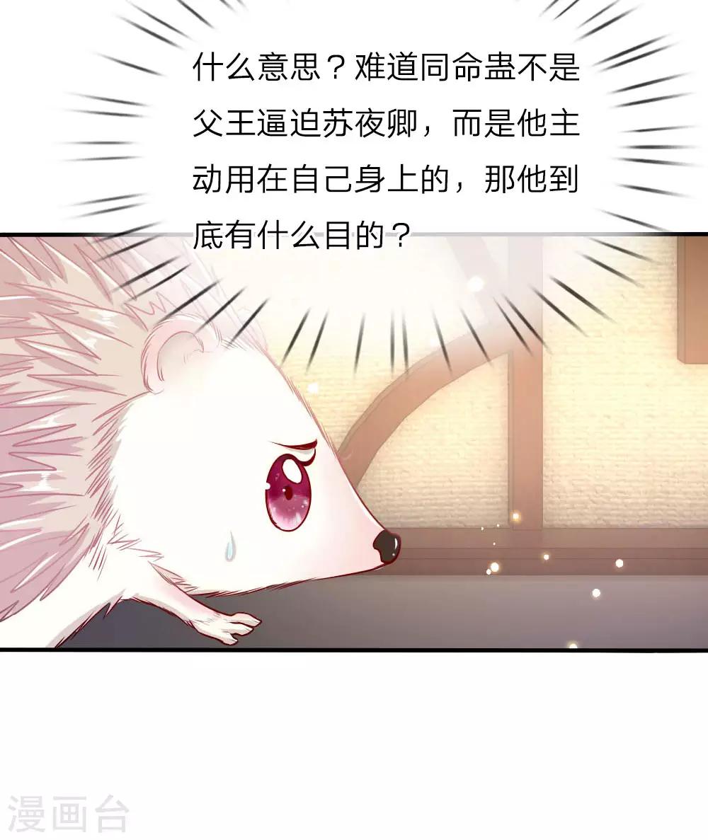 第42话 下半“生”的幸福6