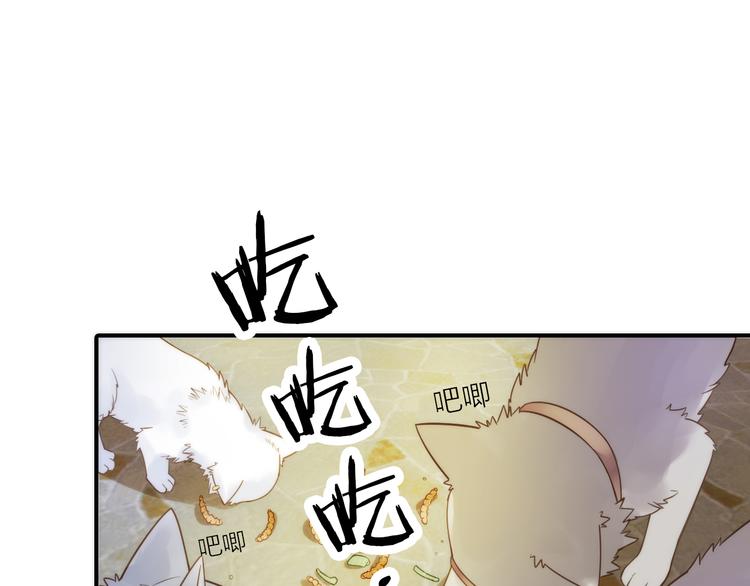 第10话 建立赌约62
