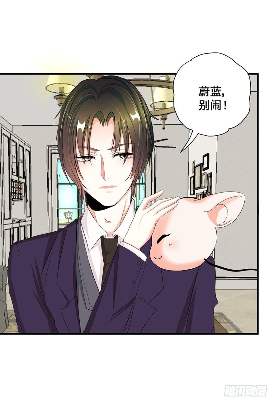 皇帝新装完80
