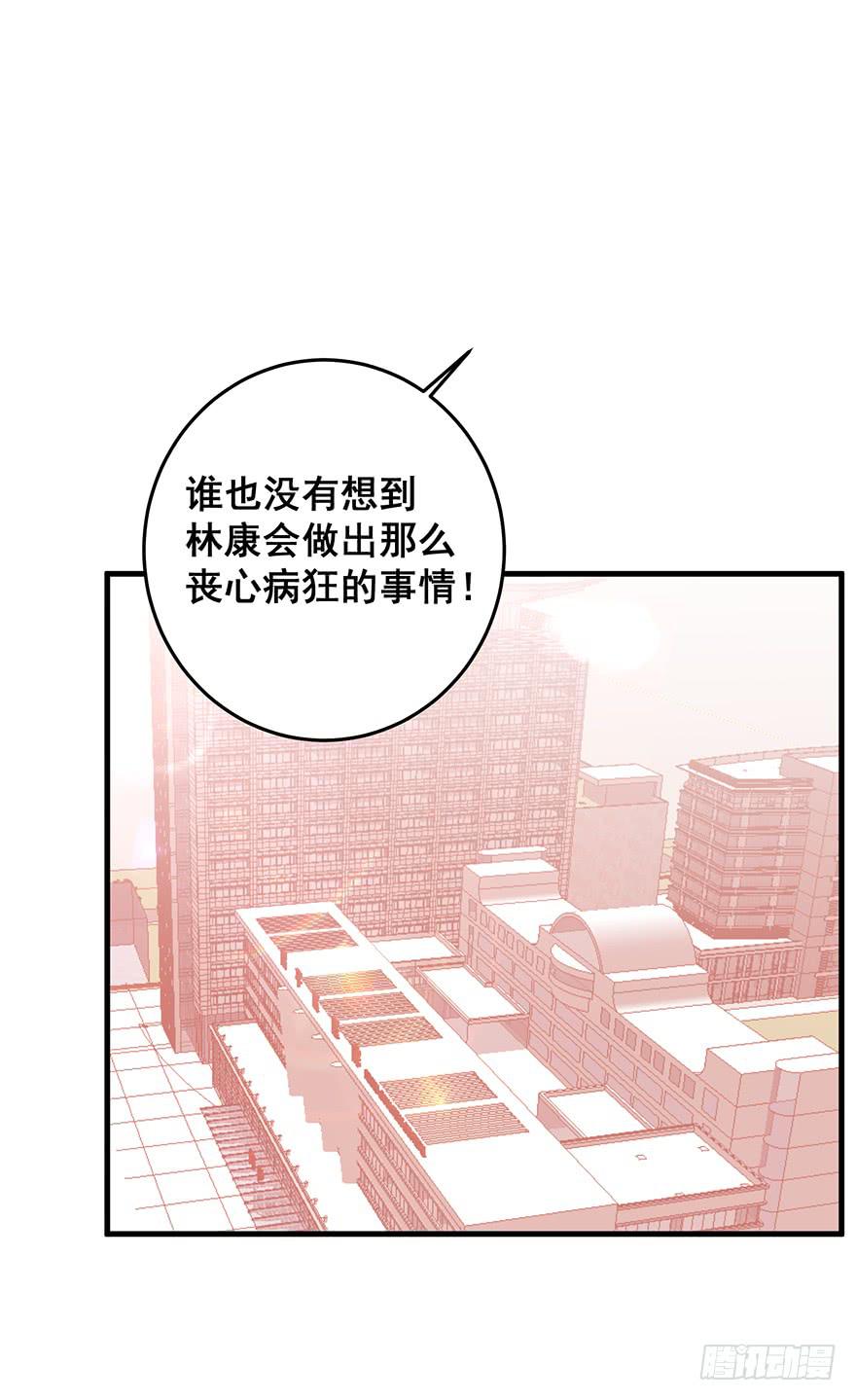 炮灰逆袭完17