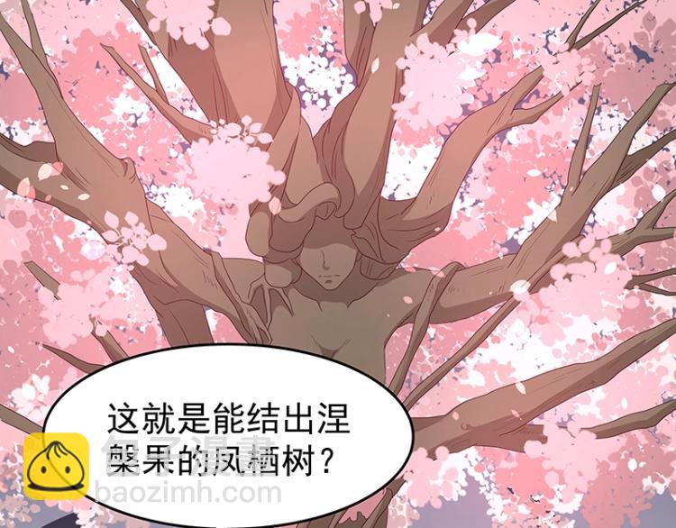 第34话 涅槃果18