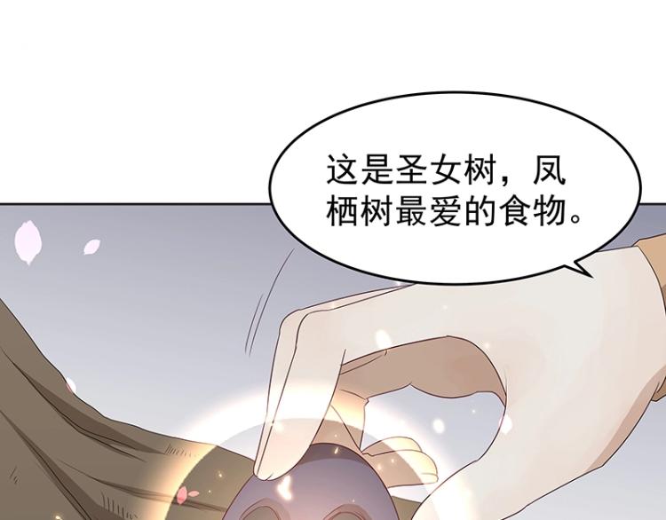 第34话 涅槃果22