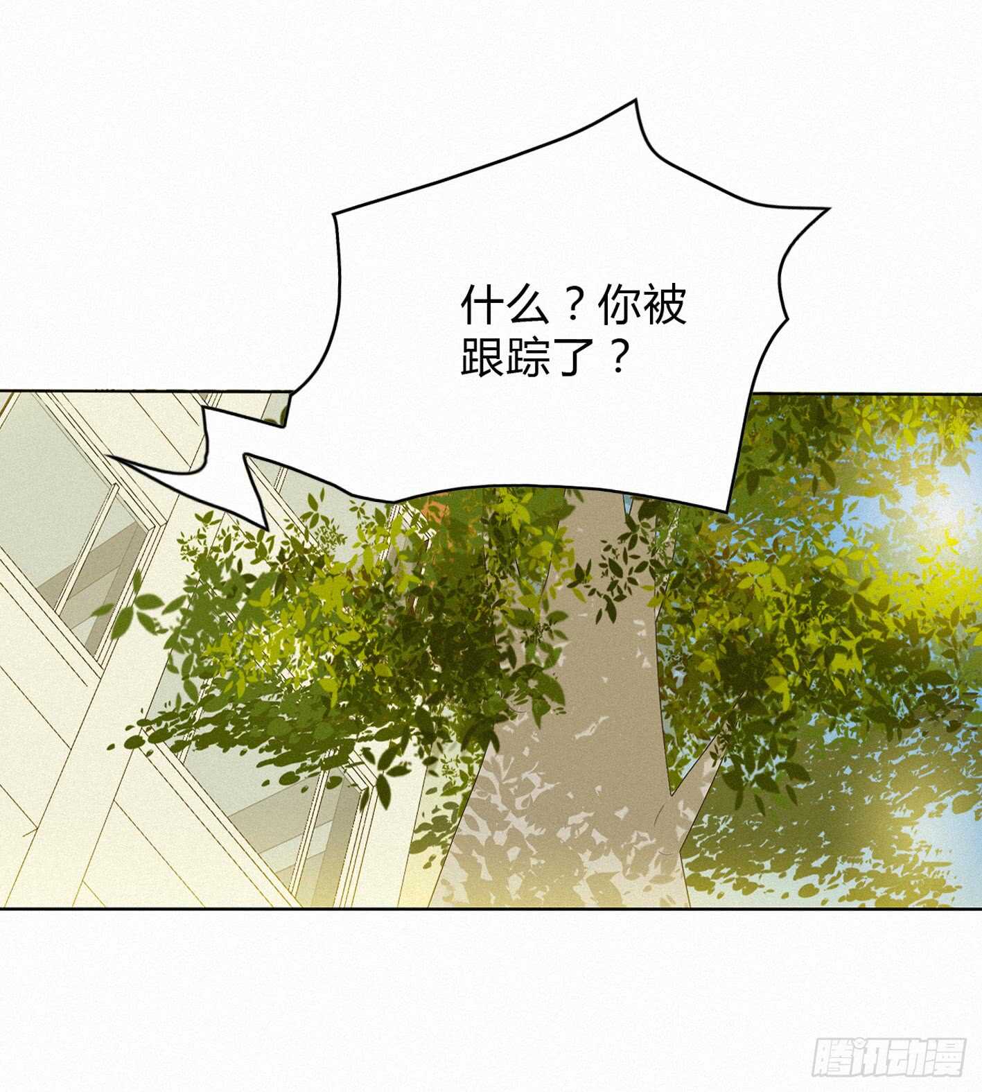 “神秘”计划14