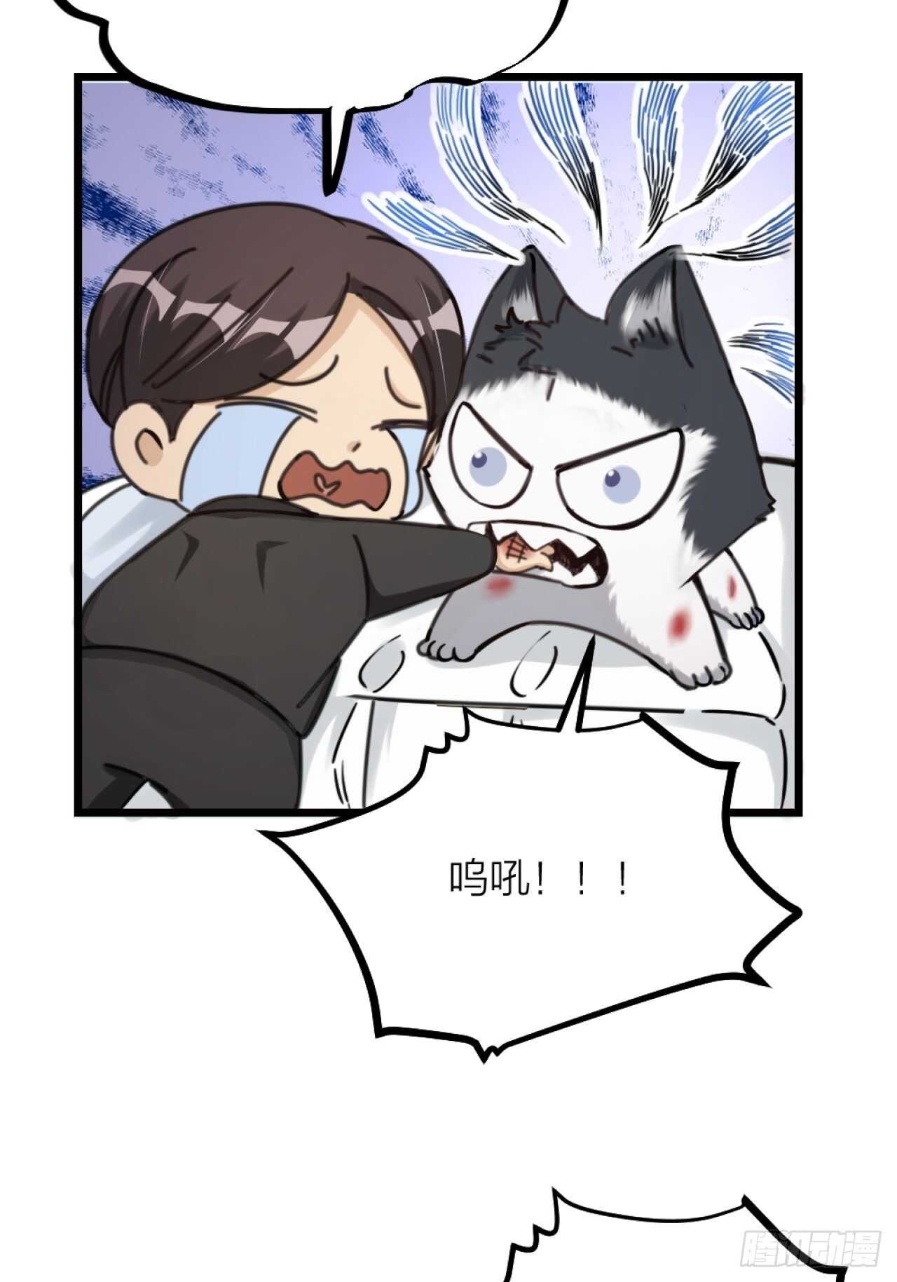 第38话 苏醒11