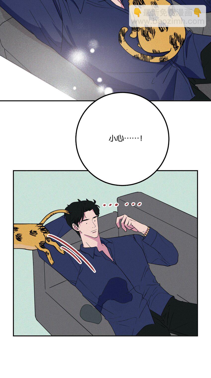 005 专属经纪人43