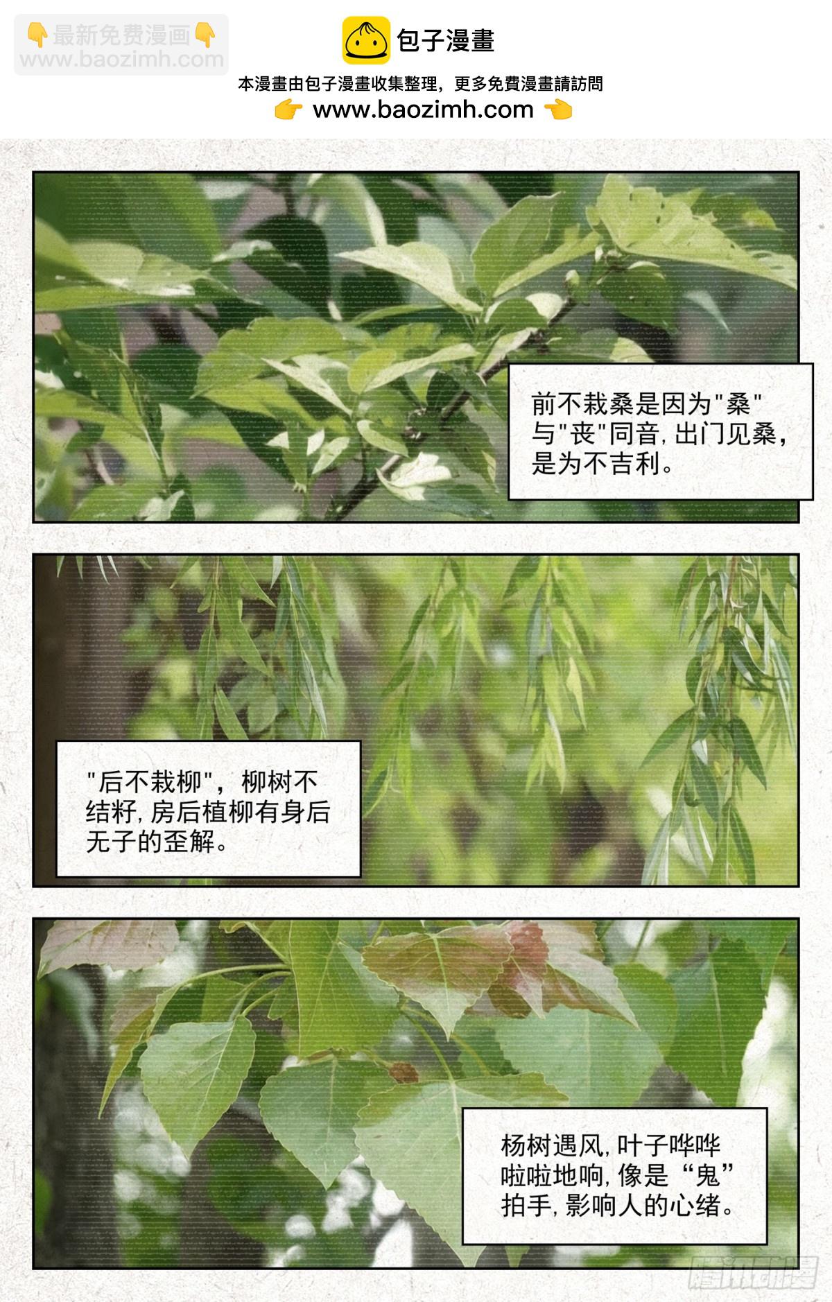 有桑1