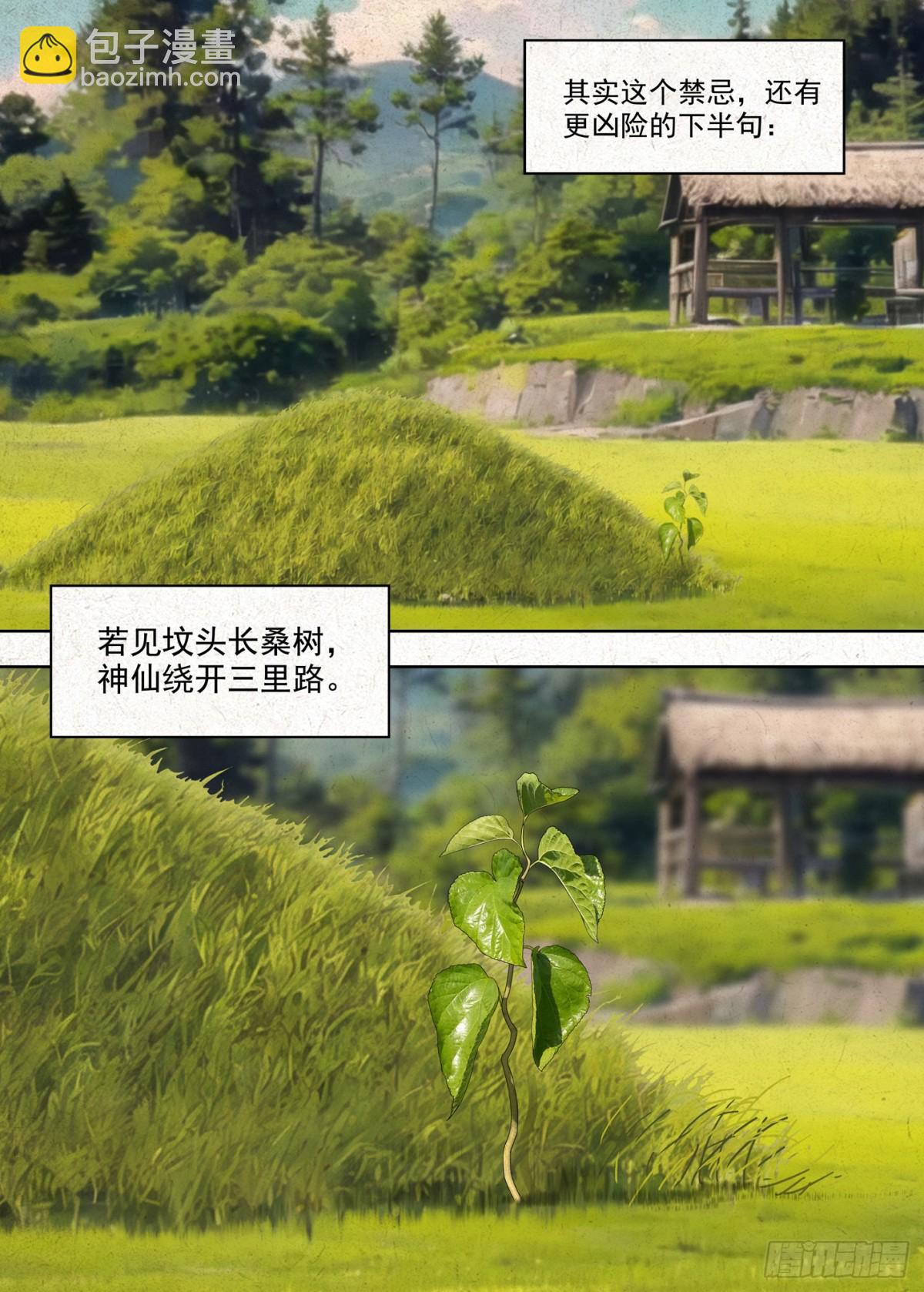 有桑2
