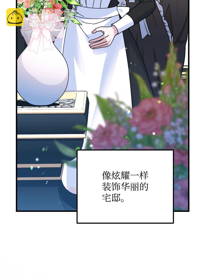 14 元老11