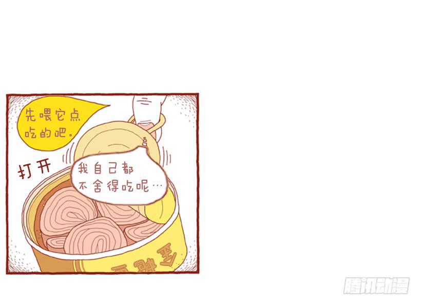 不漏雨的小窝11