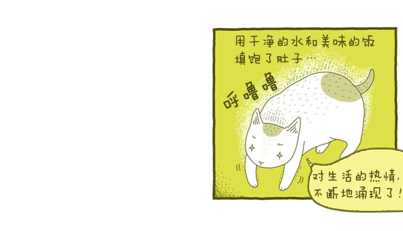 不漏雨的小窝31
