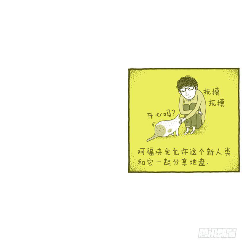不漏雨的小窝40