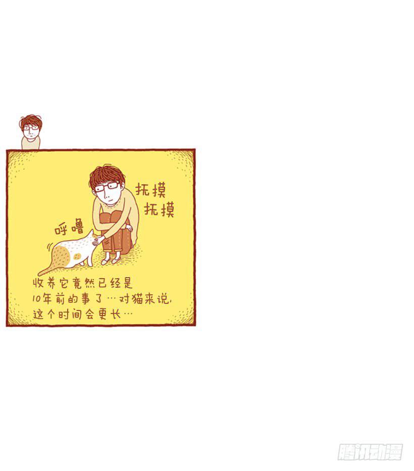 眼泪的意义1