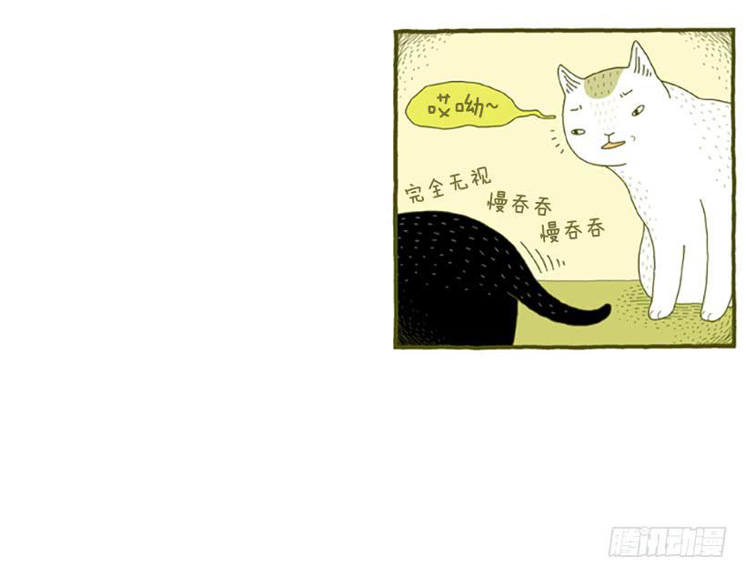 虽然只是过客 上篇13