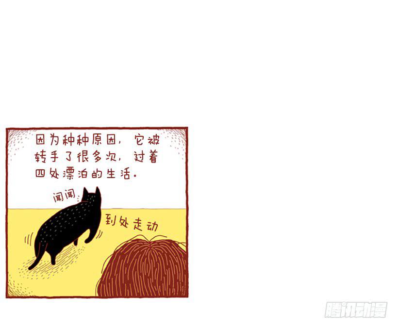 虽然只是过客 上篇3