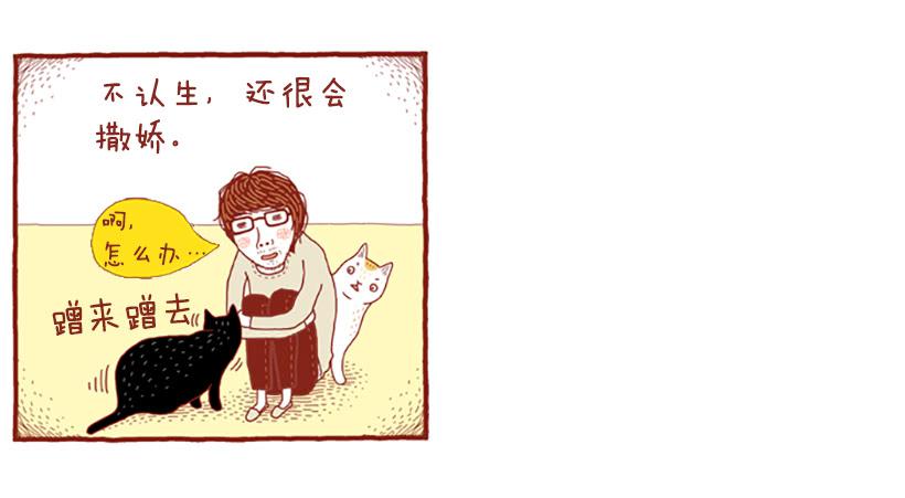 虽然只是过客 上篇5