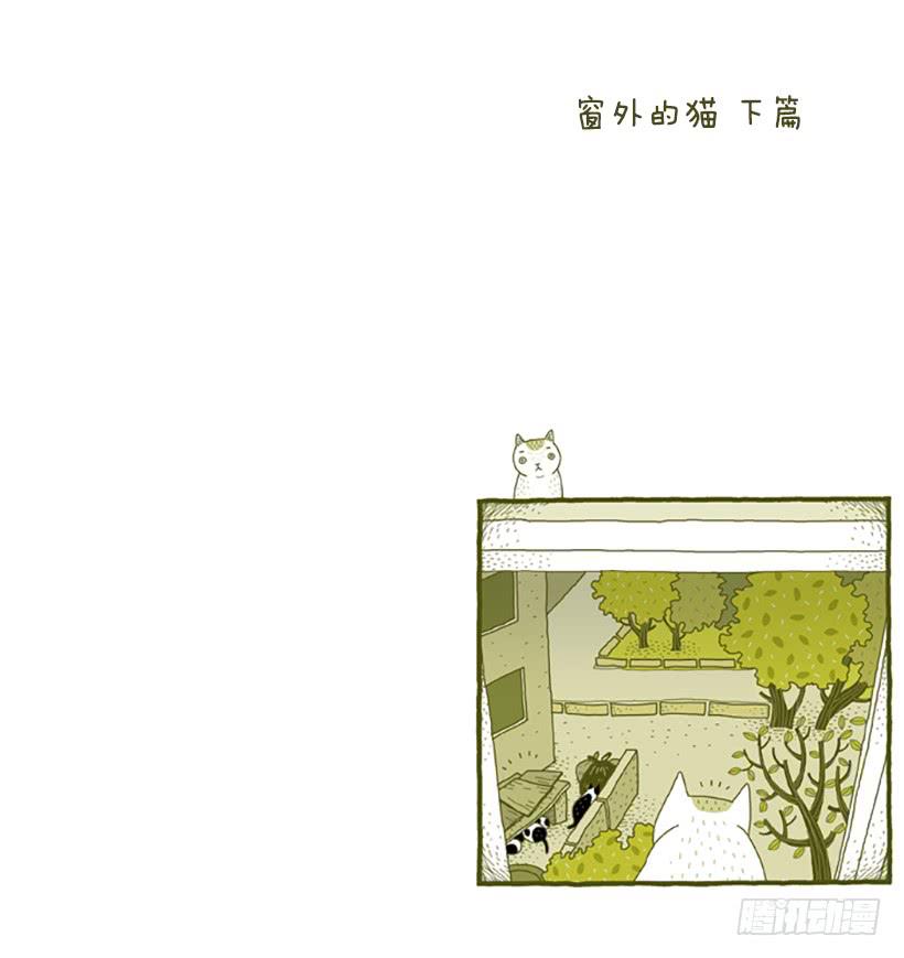 窗外的猫 下篇1