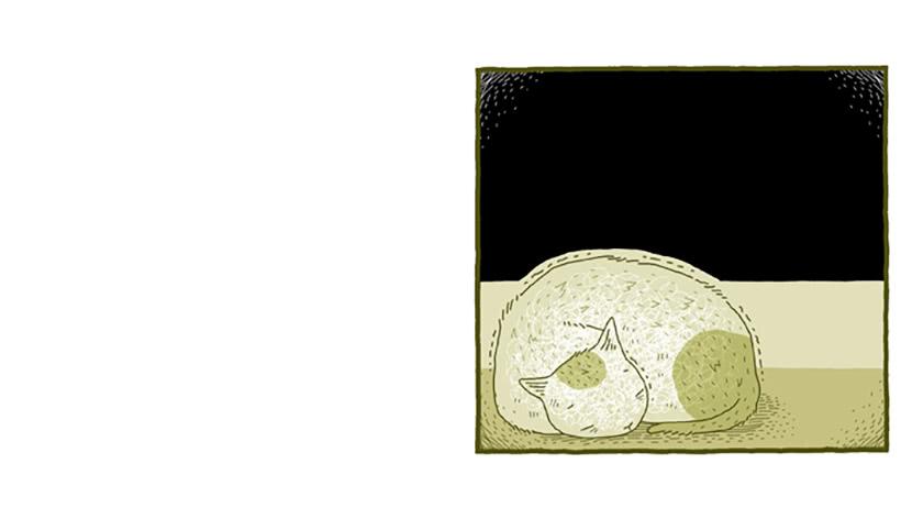 窗外的猫 下篇10