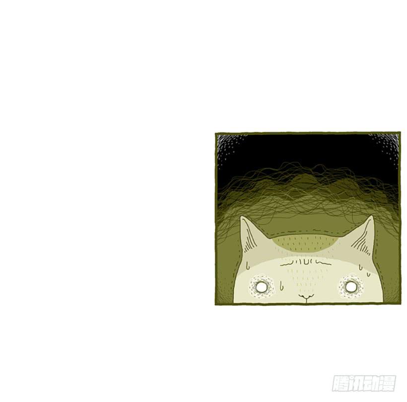 窗外的猫 下篇12